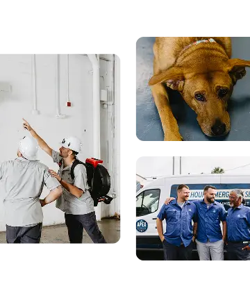 Apex Plumbing Team